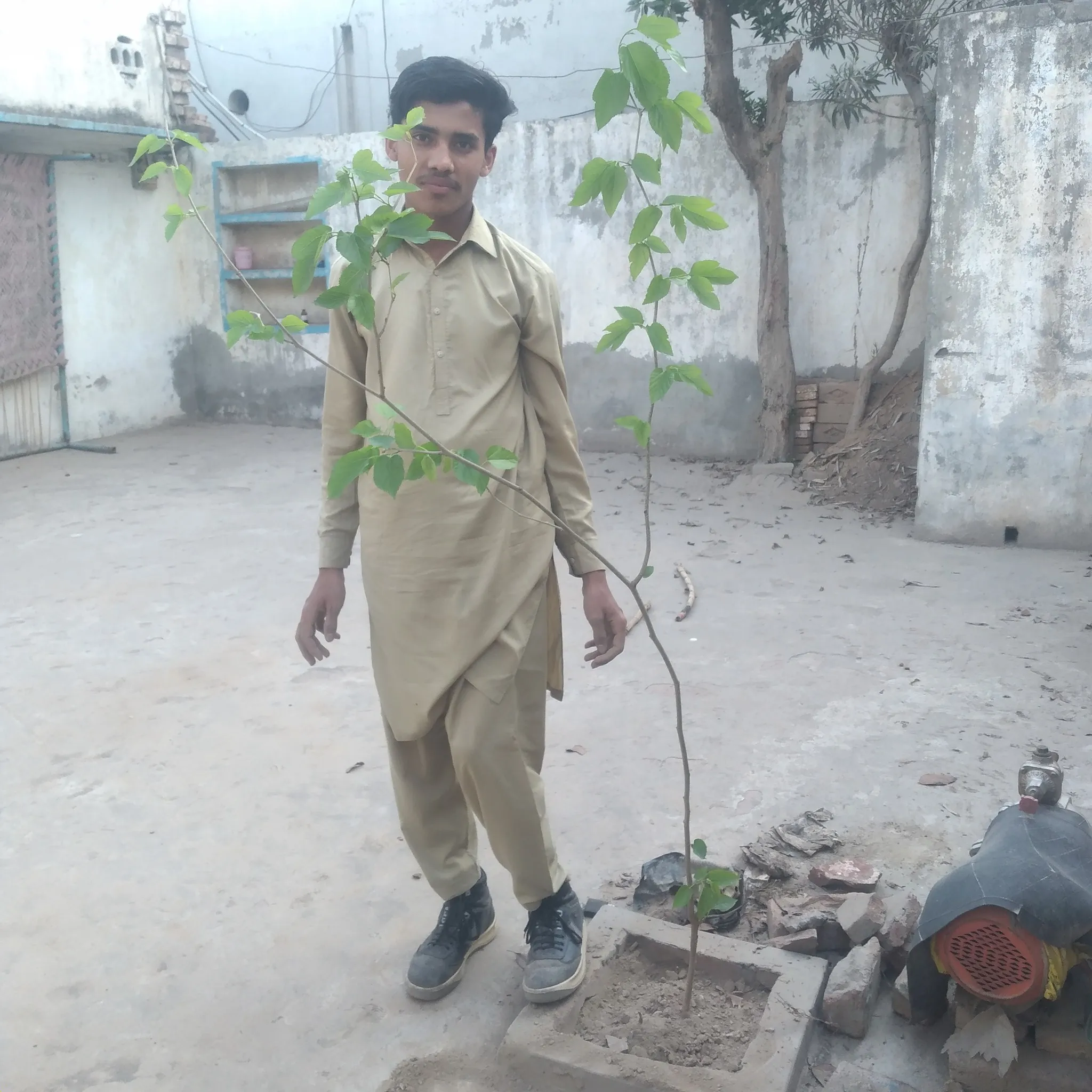 Green Seekers Activity